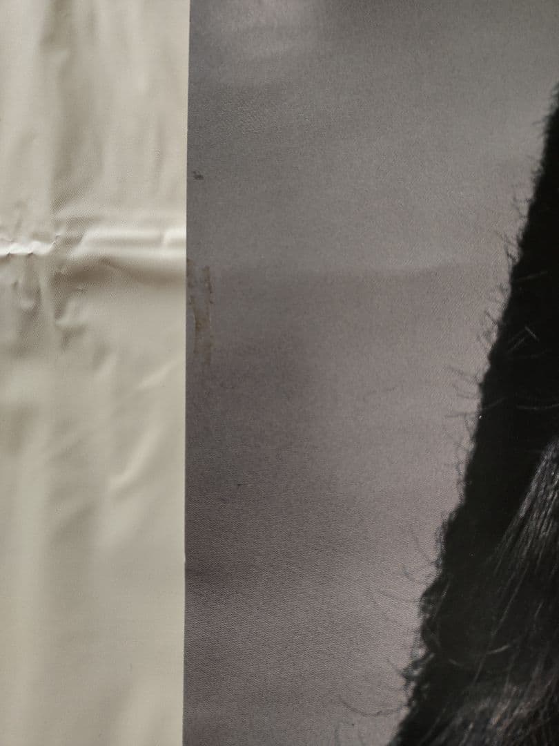 難アリ 希少品 入手困難　菊池桃子　資生堂アクネ販売促進用ポスター