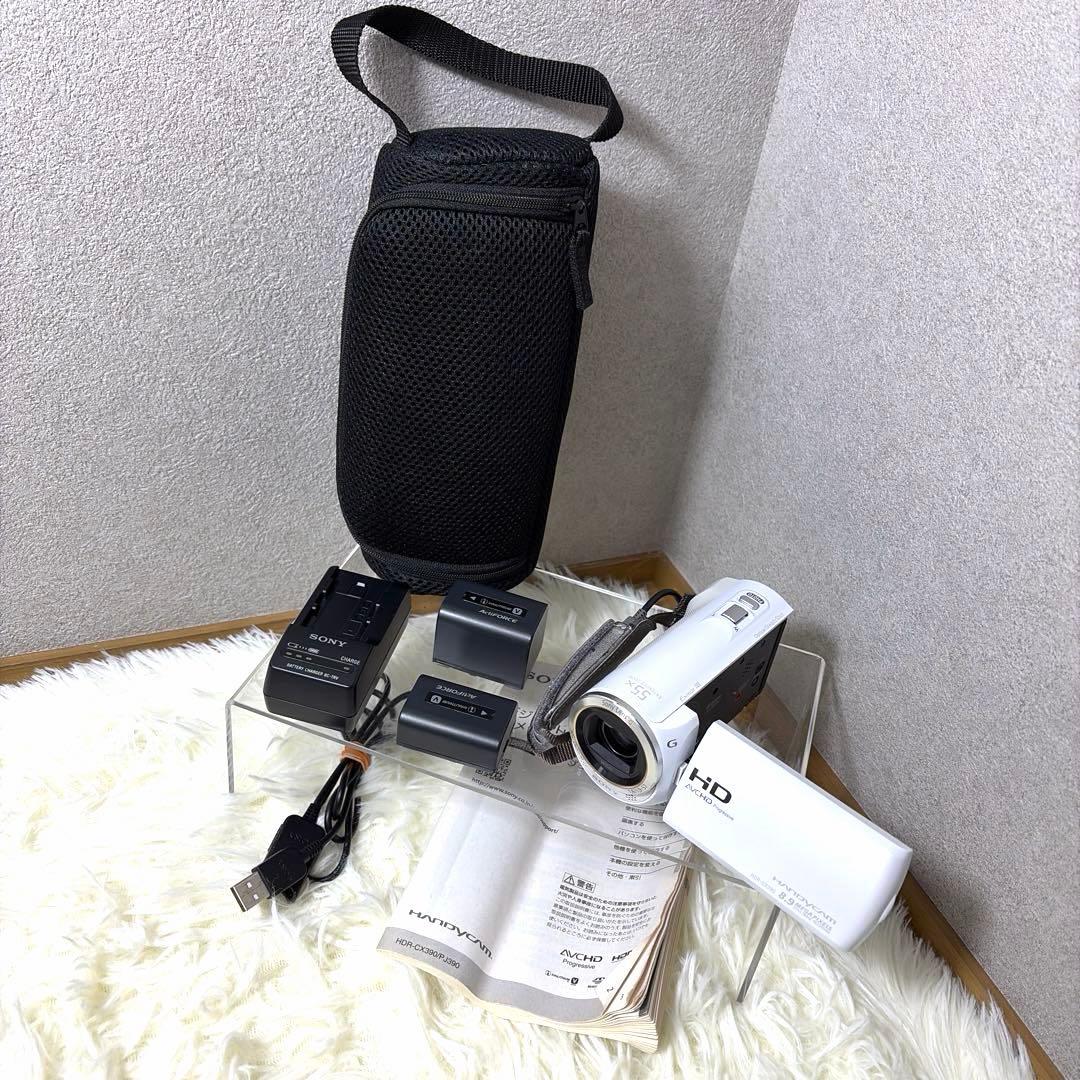 【極美品】SONY ハンディカムHDR-CX390 付属品多数