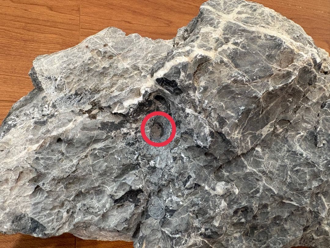 龍王石 親子石セット