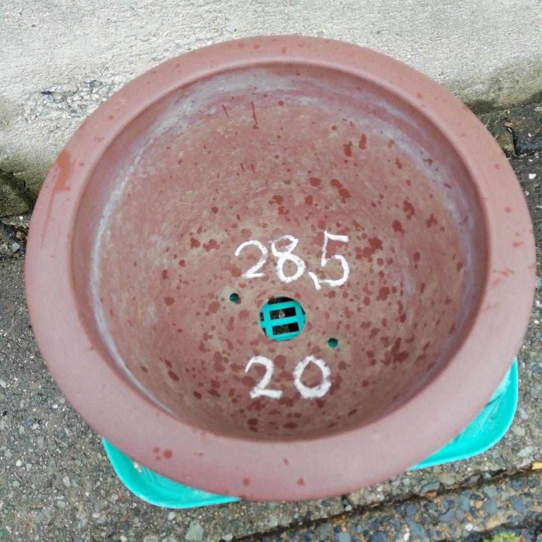 ミニ盆栽鉢、盆栽鉢、植木鉢、鉢、山野草鉢、盆栽