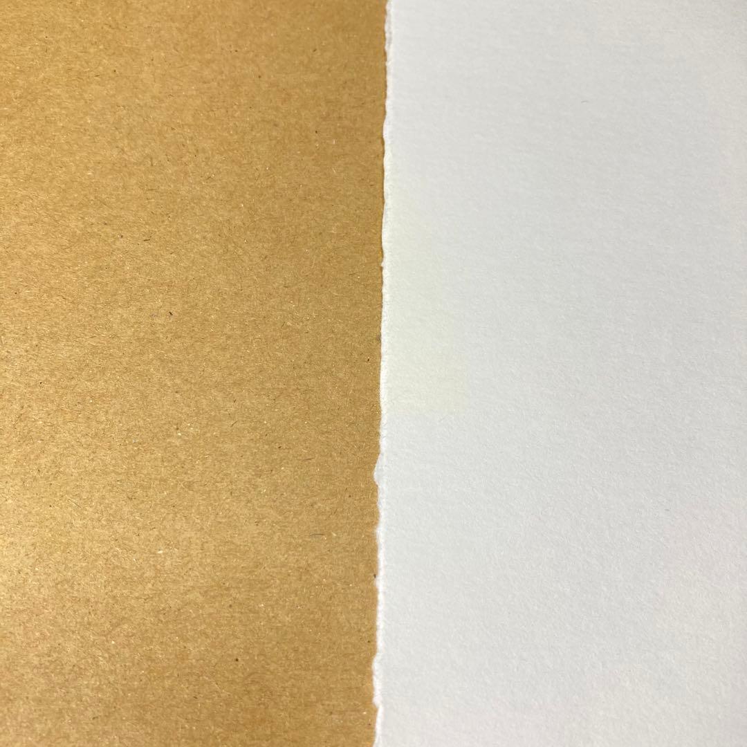 【真作保証】サルバドール・ダリ リトグラフ 直筆サイン エンボス印有り 版画