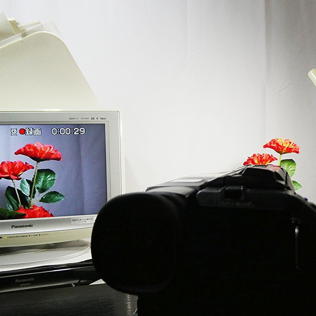 動作良好 ソニー CCD-TR280 Video8 8ミリビデオカメラ DVD化