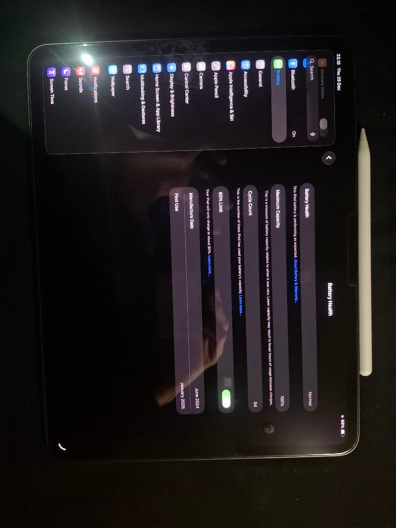 iPad本体 Apple iPad Pro m4 Wi-Fi 512GB