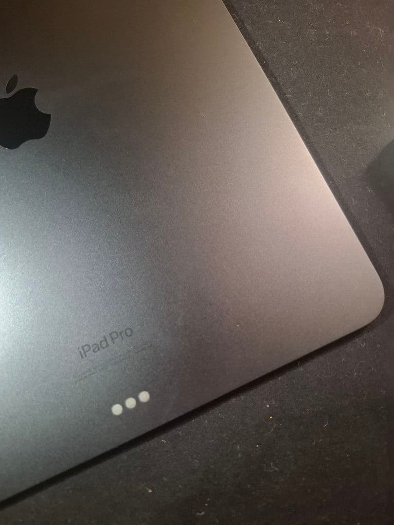 iPad本体 Apple iPad Pro m4 Wi-Fi 512GB