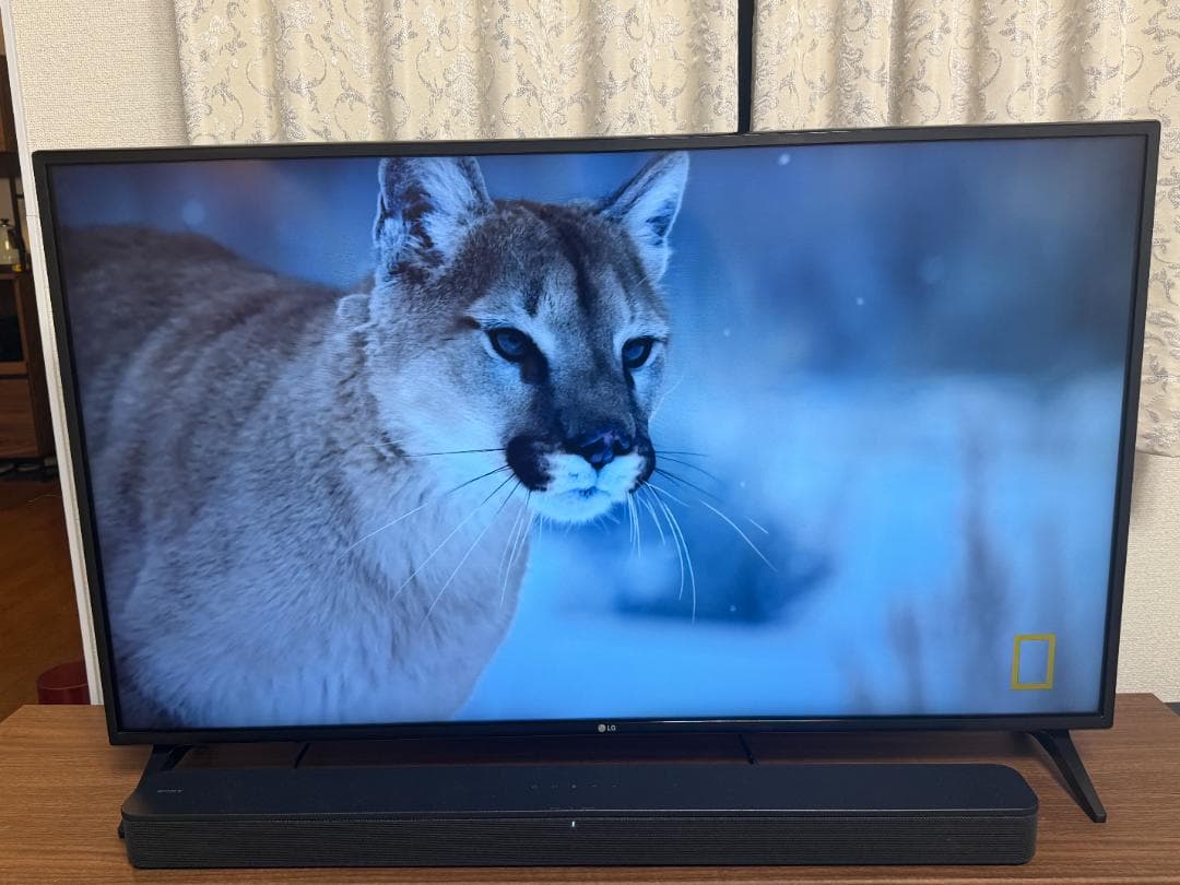 LG 49インチ 4K液晶テレビ (49UM7100PJA)マジックリモコン付き