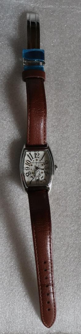 d⭐️⭐️どこでもいっしょ⭐️⭐️　C. トロ　腕時計