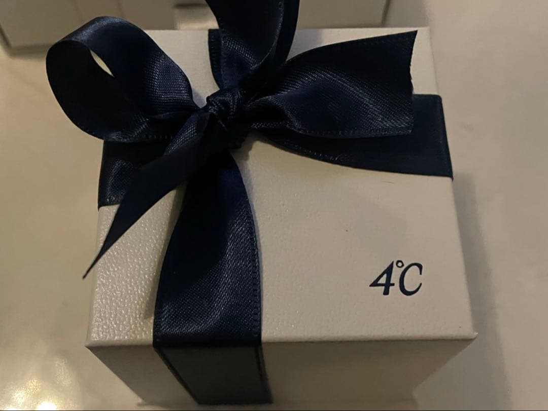 【最終値下げ】4℃(ヨンドシー) エターナルシルバーリング 10号 レディース