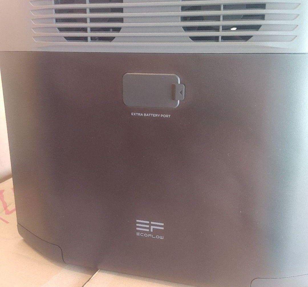 こ*ん様 正規整備済品　EcoFlow DELTA 2 ポータブル電源