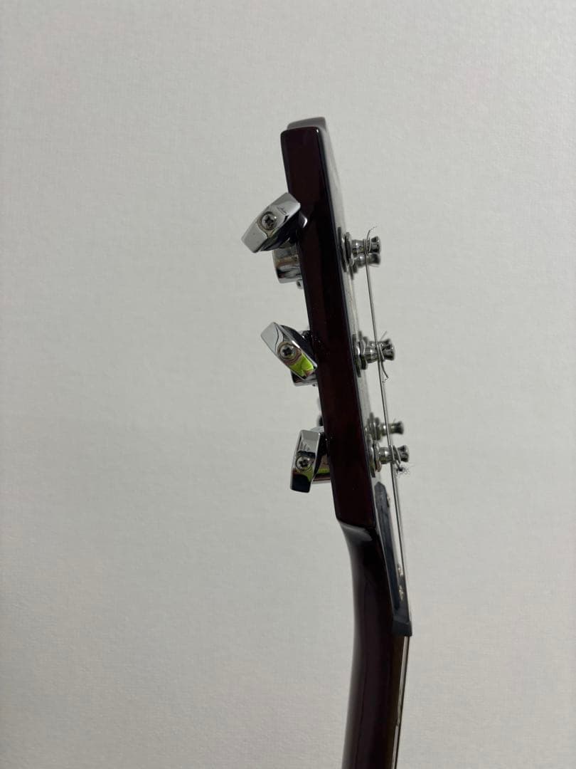 PlayTech LP-500 Premium F-Hole エレキギター