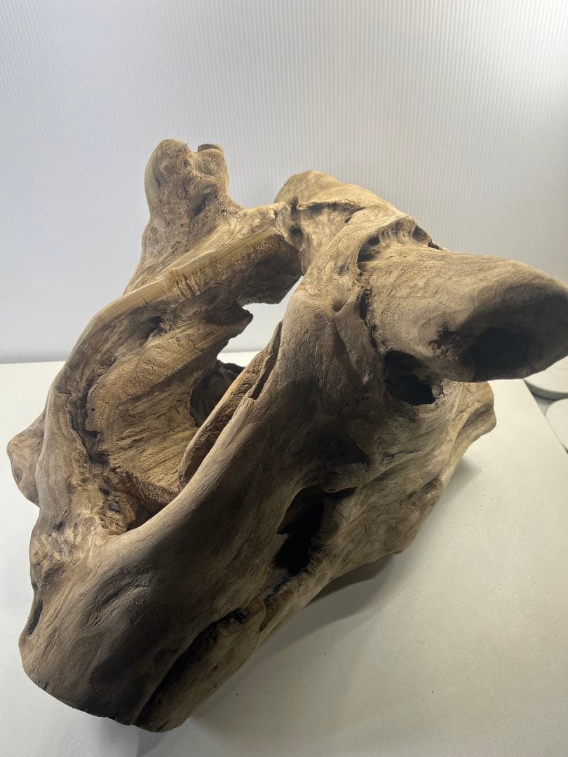 R79アク抜き済み流木 爬虫類シェルター 登り木 インテリア 生け花