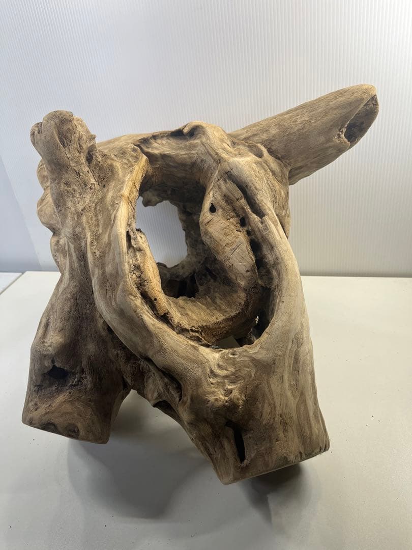 R79アク抜き済み流木 爬虫類シェルター 登り木 インテリア 生け花