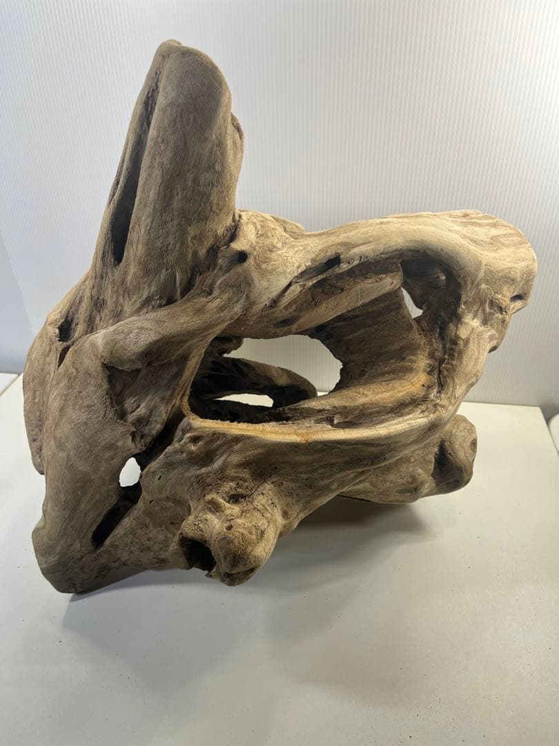 R79アク抜き済み流木 爬虫類シェルター 登り木 インテリア 生け花