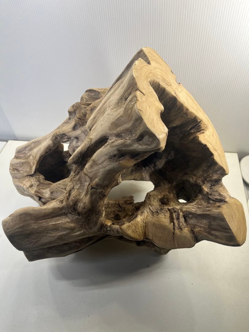 R79アク抜き済み流木 爬虫類シェルター 登り木 インテリア 生け花