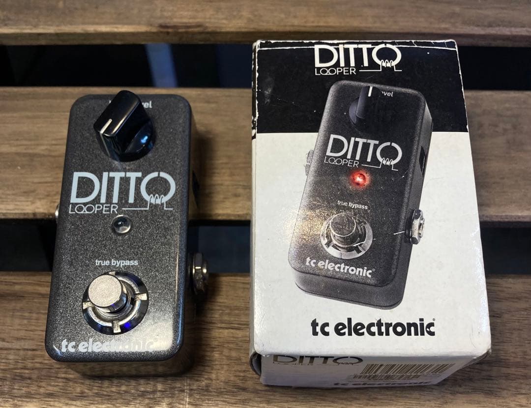 箱付き tc electronic Ditto Looper 【保証有】