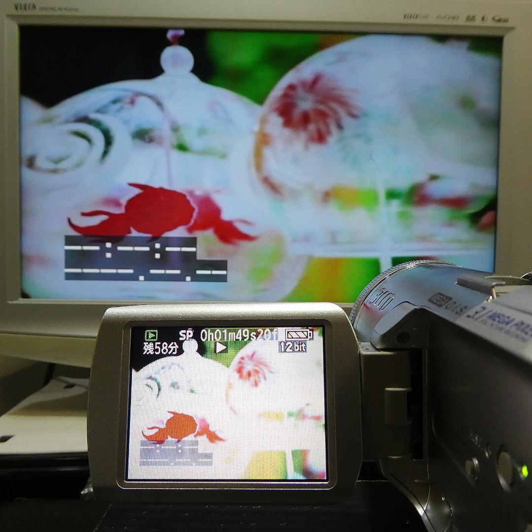 美品・動作良好 パナソニック NV-GS250 MiniDVビデオDVD化に最適