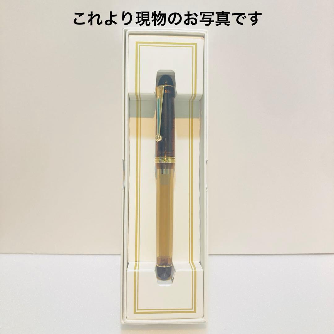 パイロット 万年筆 CUSTOM74 カスタム74 ペン先14K 新品