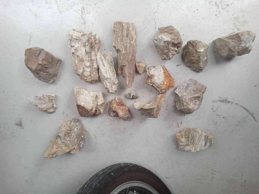 木化石　詰め合わせ