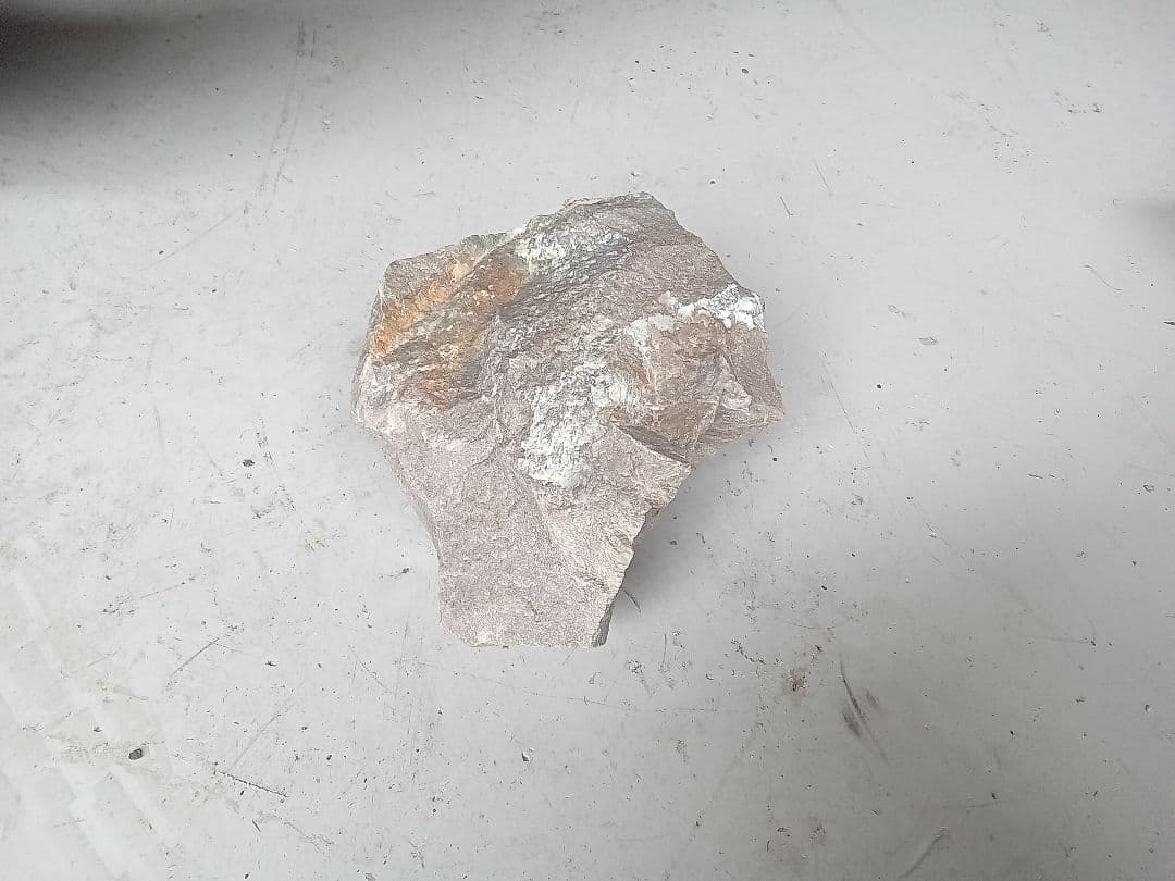 木化石　詰め合わせ