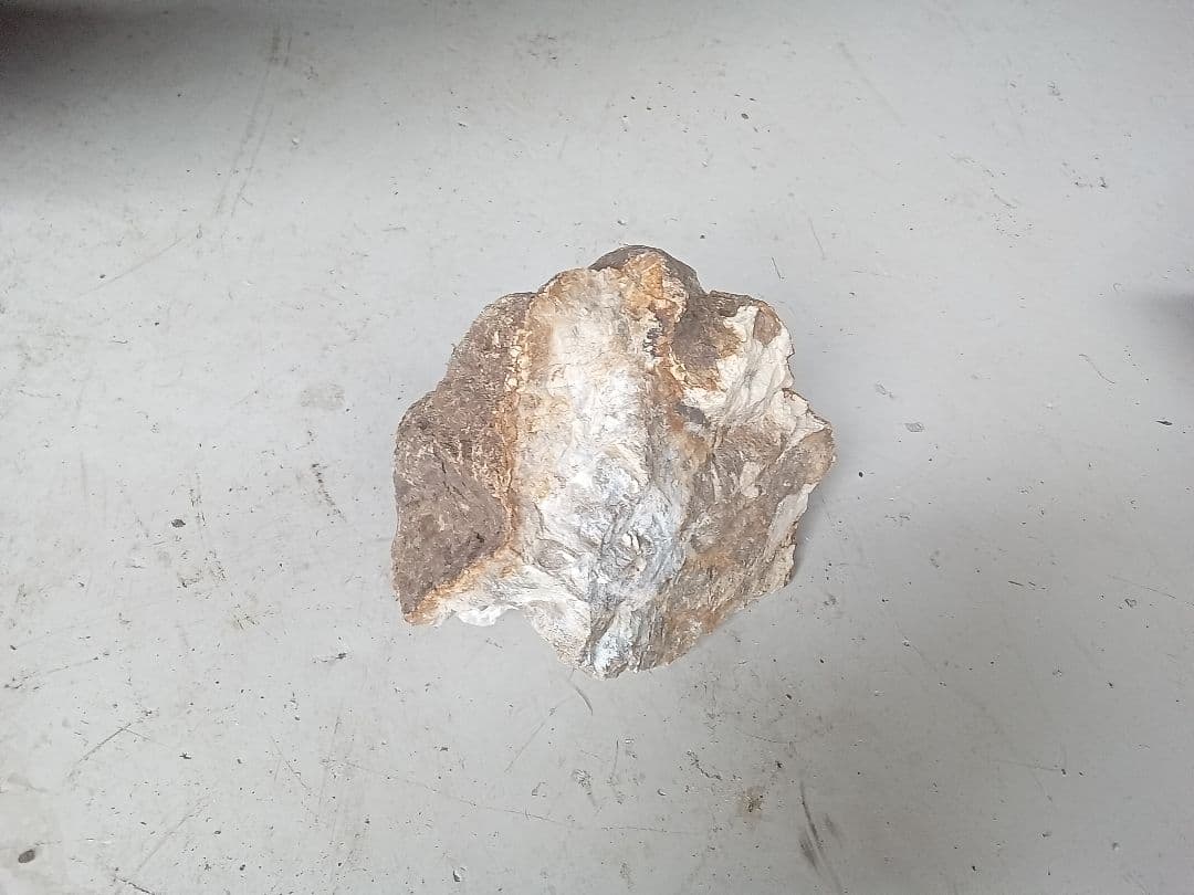 木化石　詰め合わせ