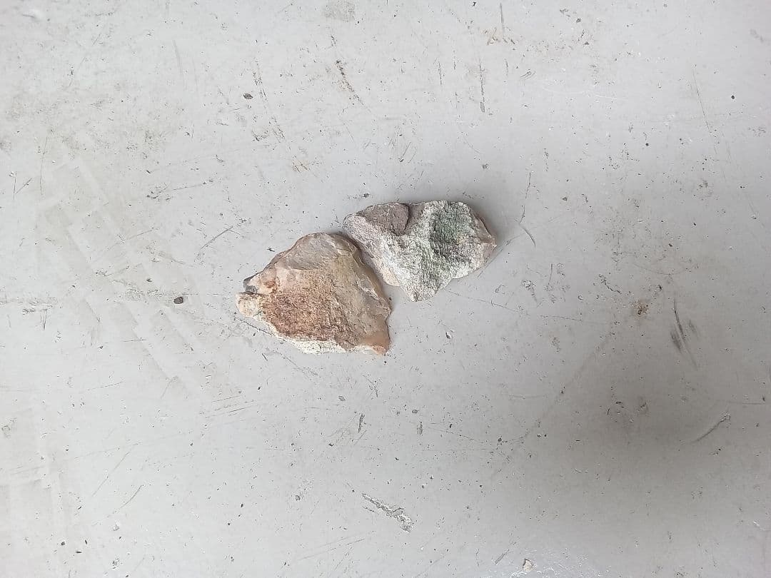 木化石　詰め合わせ