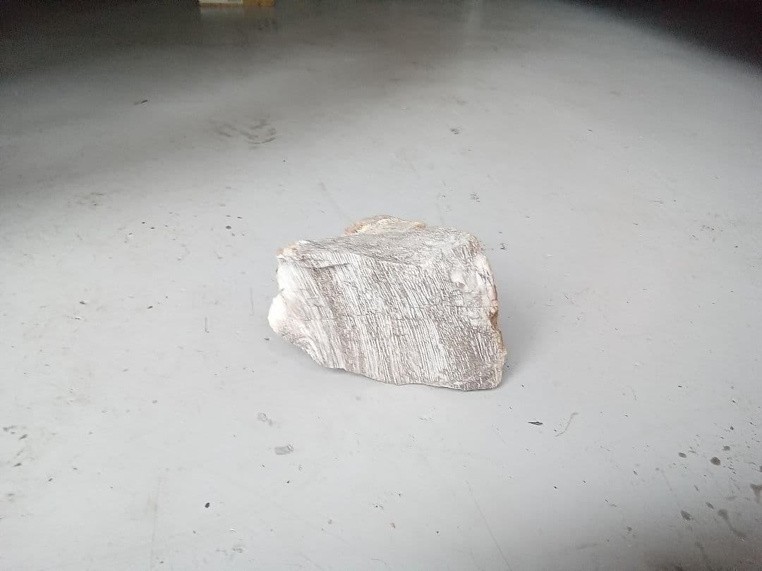 木化石　詰め合わせ