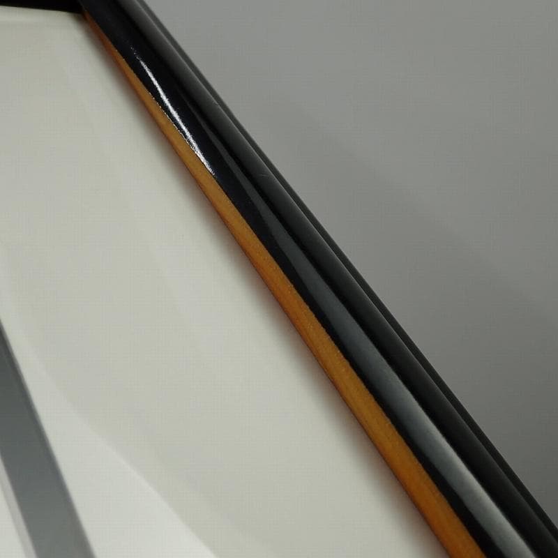 RU-6018　ディズニーセル画　101匹　わんちゃん