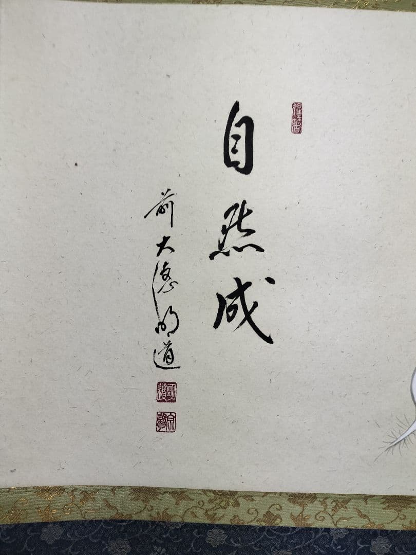b958【新品・未使用】軸 横物 画賛 蕪の図 「自然成」戸上明道 木箱 茶道具