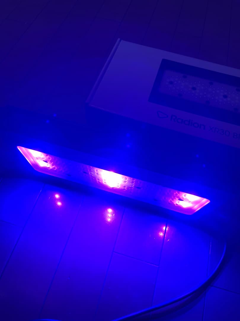 ライト・照明器具 Radion XR30 Blue