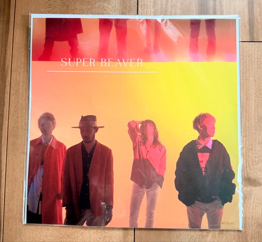 レア！SUPER BEAVER メガジャケ5点セット/スーパービーバー
