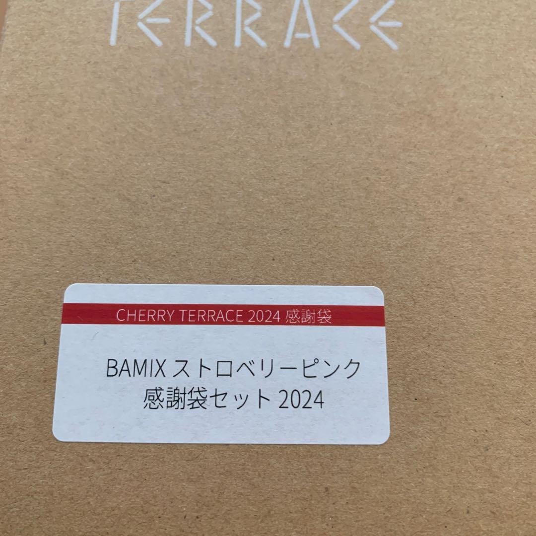 保証付！新品！バーミックス限定カラーのストロベリーピンク M300スマートセット