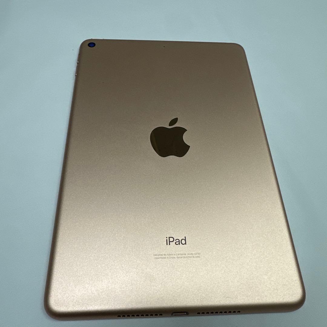Apple iPad mini(第5世代)64GB本体のみ