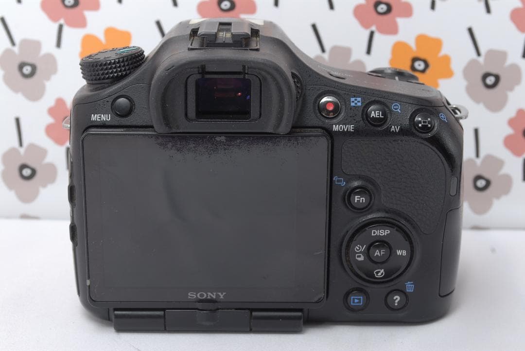 ❤SONY α65❤トリプルレンズ❤超望遠❤超高画質❤1秒10コマの高速連射❤