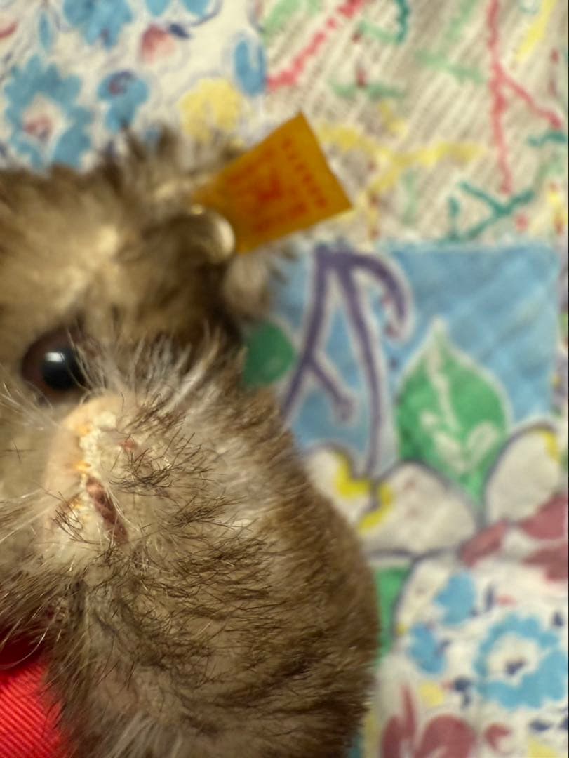 シュタイフ　1926年に発売したテディベア