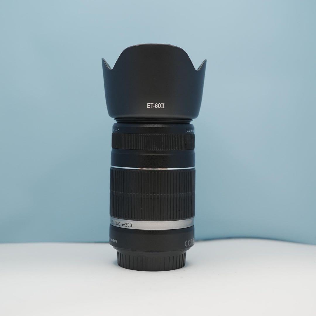 Canon純正 55-250mm 望遠レンズ a4510