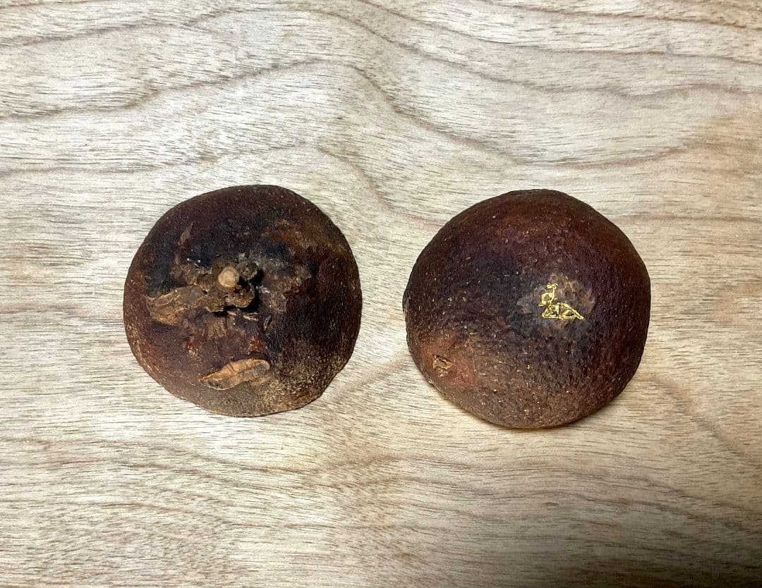 【珍品】市川銕琅　宗旦好 橙香合　金箔塗　茶道具　市川銕琅書箱　花押あり