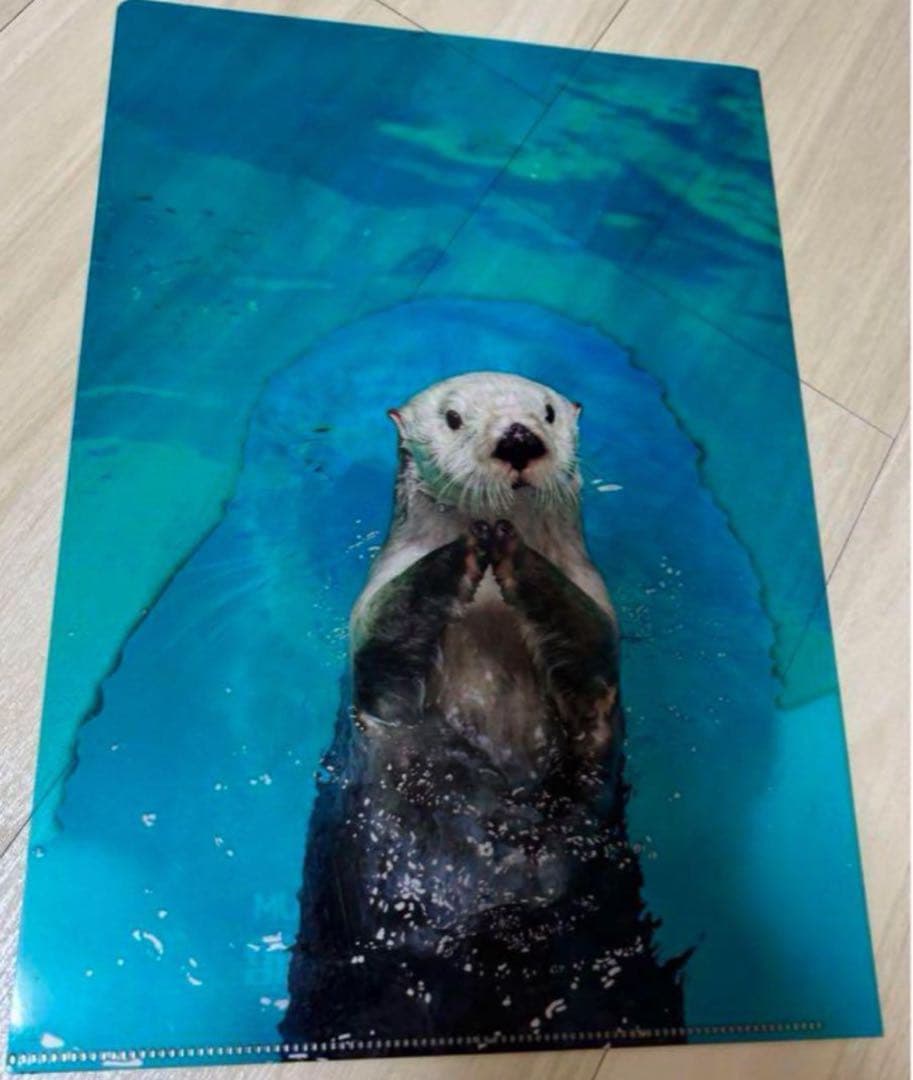 鳥羽水族館　ラッコ　クリアファイル