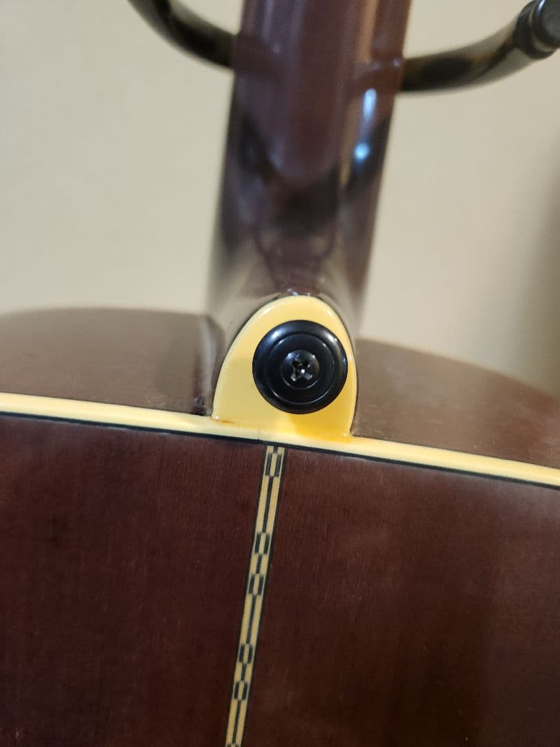 【 YAMAHA DW-8 VRS 】☆ハードケース付き。