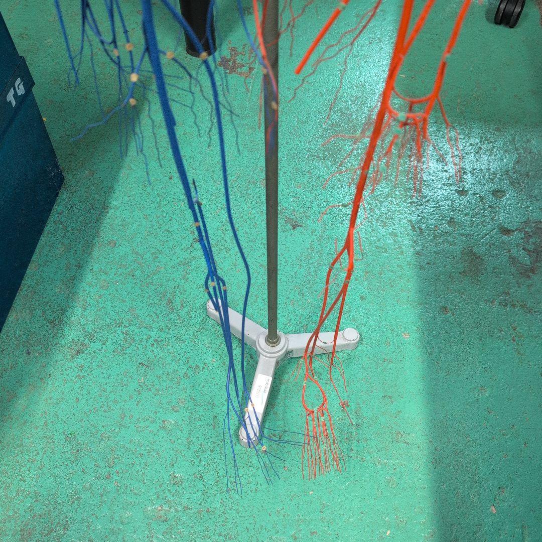 血液循環系模型 透視式