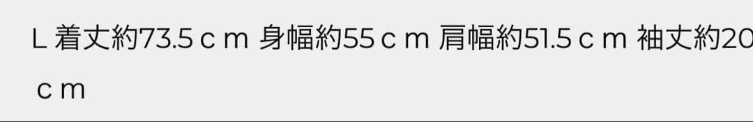 【WACKO MARIA】パルプフィクション Tシャツ