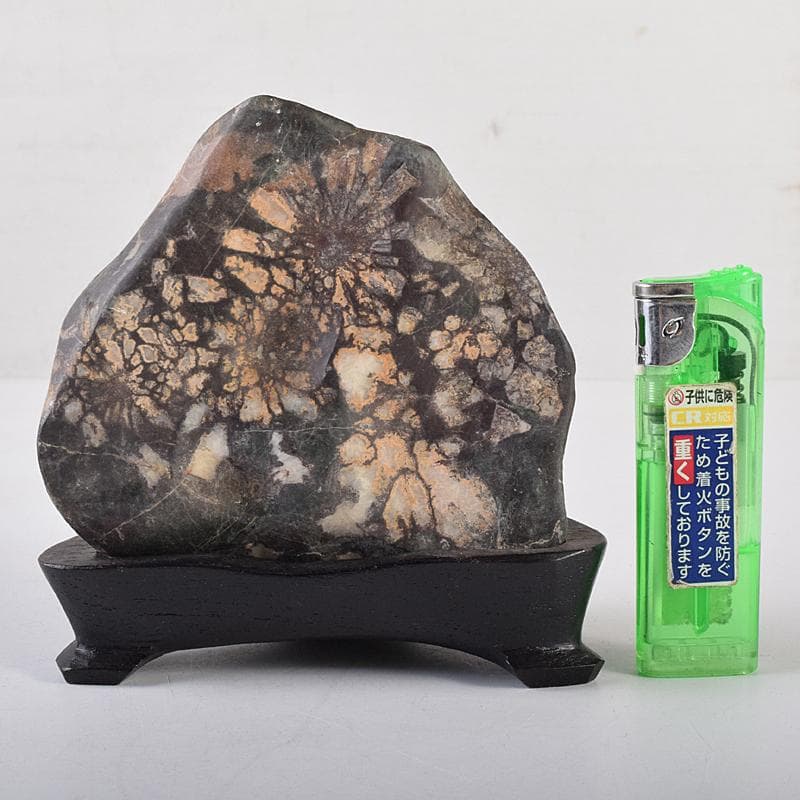 天然石　鑑賞石　菊花石　置物　重さ約547g　唐木台付　C　R8838