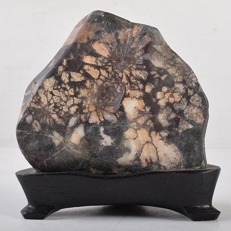 天然石　鑑賞石　菊花石　置物　重さ約547g　唐木台付　C　R8838