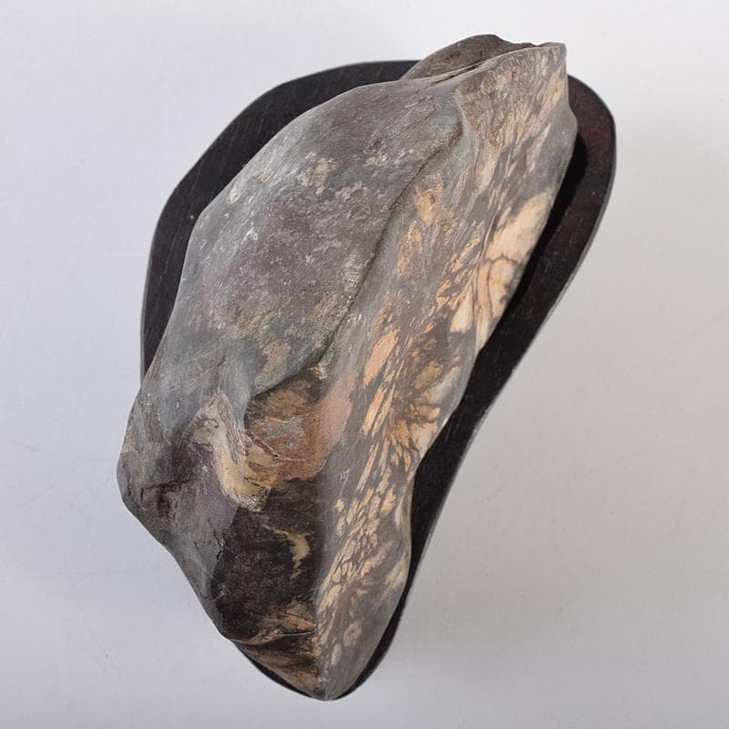 天然石　鑑賞石　菊花石　置物　重さ約547g　唐木台付　C　R8838