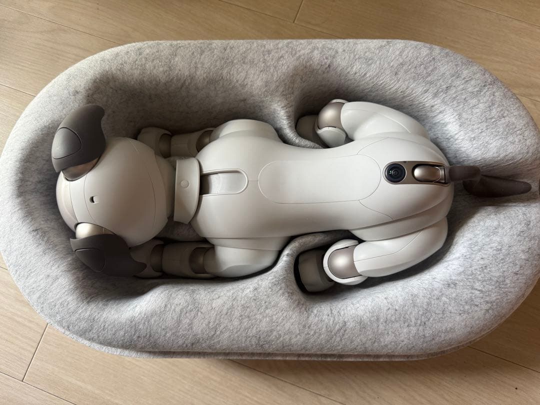 Sony aibo ERS-1000 aibo（アイボ）