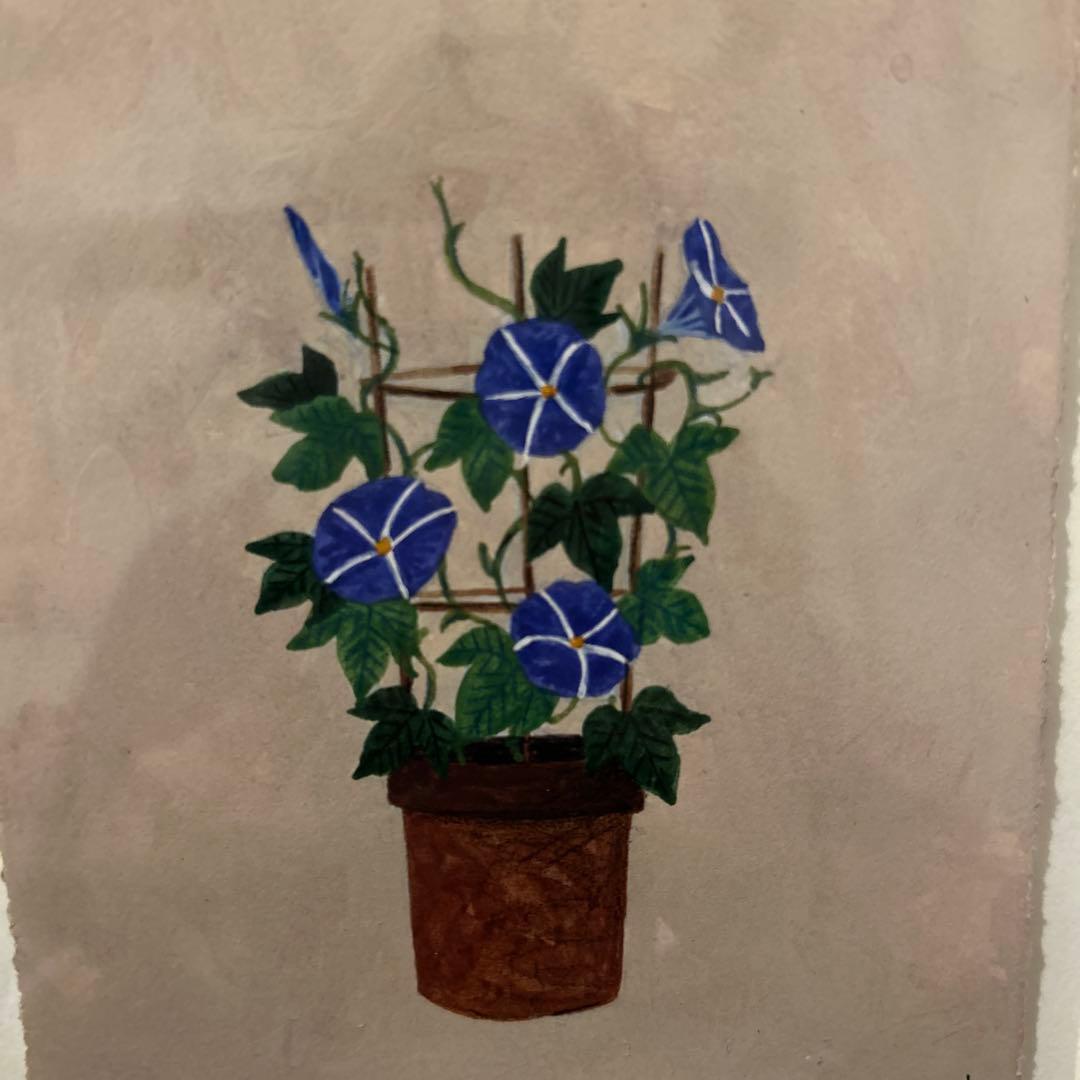 マツモトヨーコ　ドローイング　絵画　朝顔　ハガキサイズ