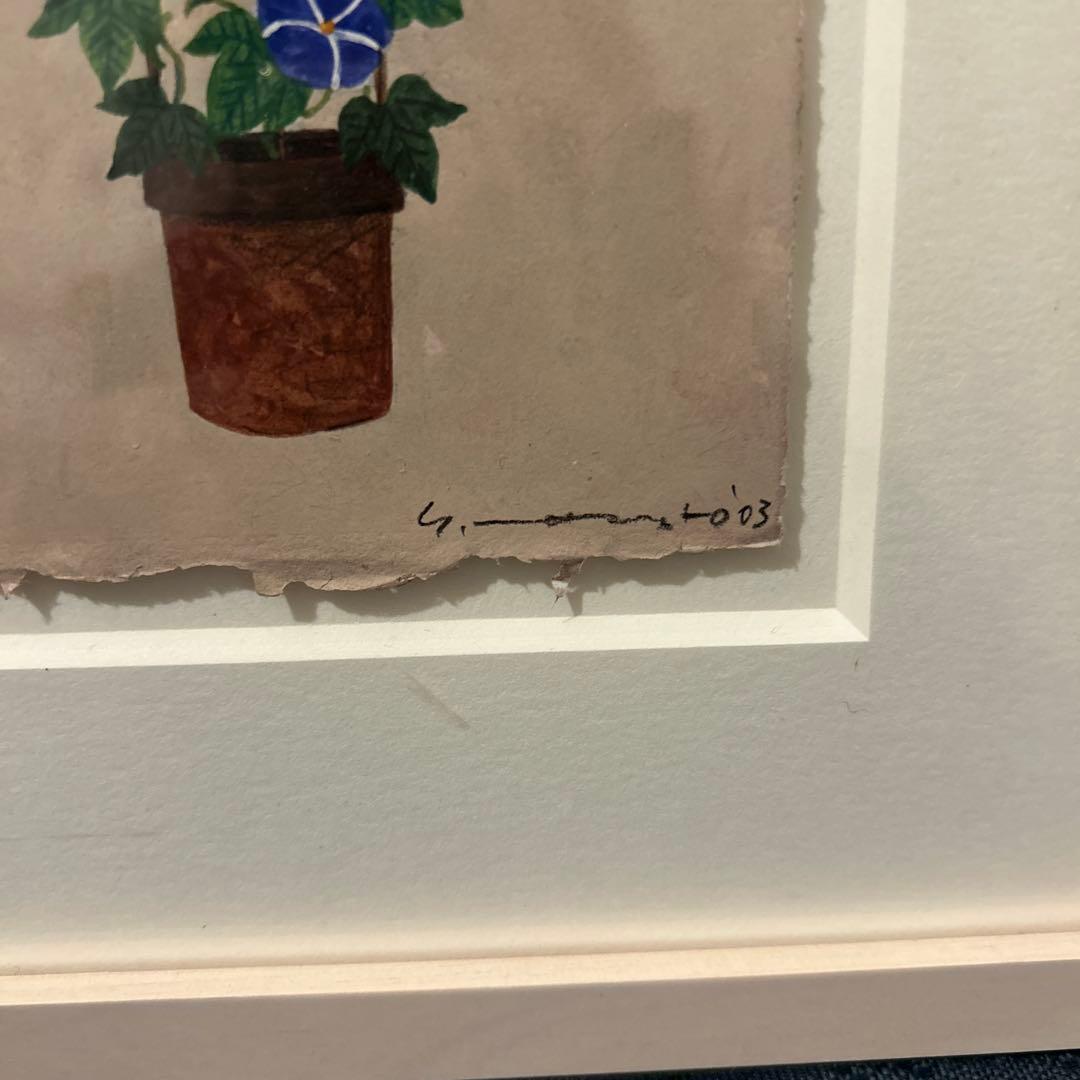 マツモトヨーコ　ドローイング　絵画　朝顔　ハガキサイズ