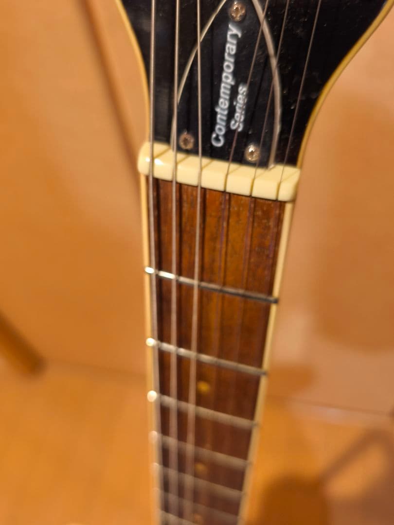 Hofner Verythin HCT-VTH-SP セミアコ ソフトケース付