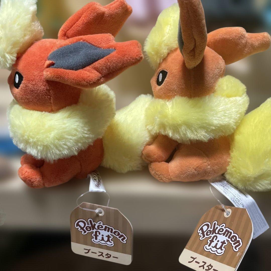 タグ有り　ポケモンfit ブイズ