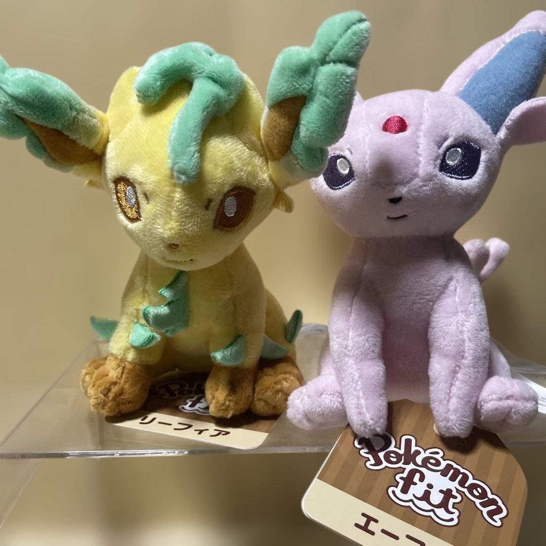 タグ有り　ポケモンfit ブイズ