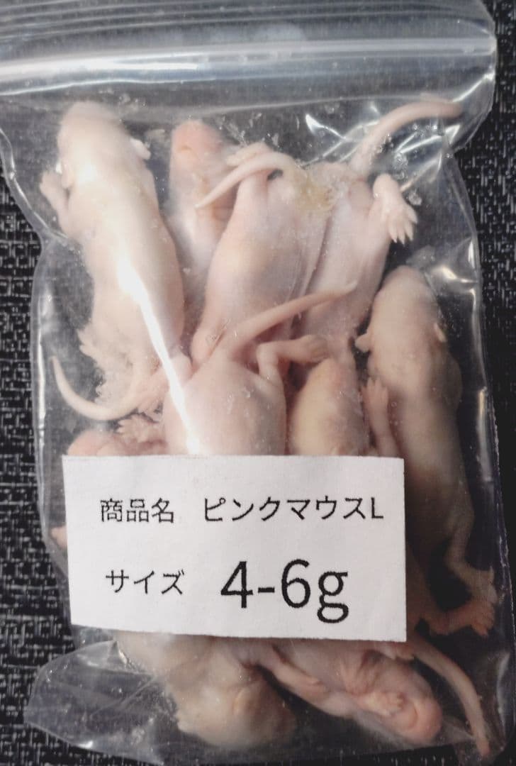 ユー　送料無料 アダルトＬ30匹、ピンクＬ20匹 、ファジー20匹