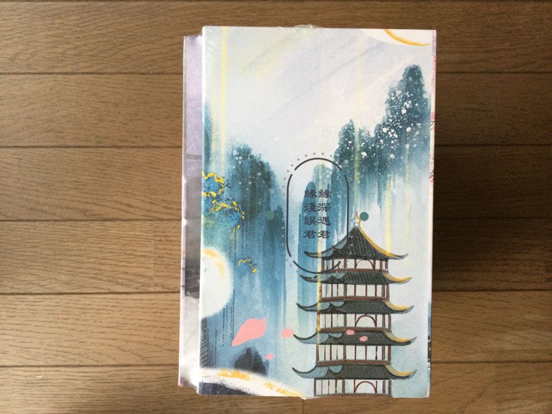 未開封 二哈和他的白猫師尊 繁体字 (本編8巻・番外2巻)全10巻BOX付き